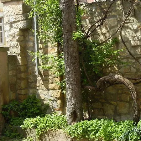 Apartamento Haus Angelika Bad Schonborn